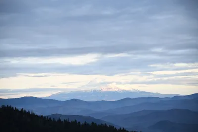 DSC_0114 (Large).JPG